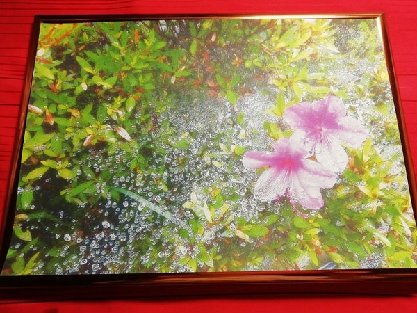 Art Auction 花 02 Flower