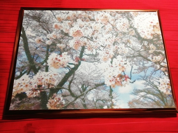 Art Auction Blume Kirschblüten 03 Flower Cherry blossom