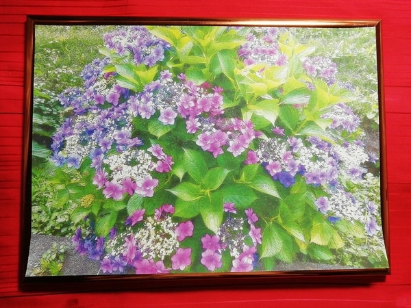 Art Auction 花 04 Flower