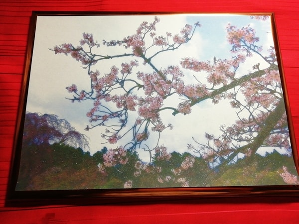 Art Auction 花 桜 05 Flower Cherry blossom