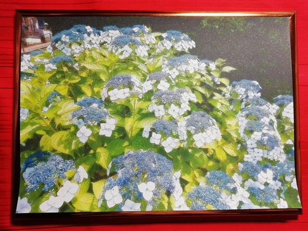 Art Auction 花 11 Flower