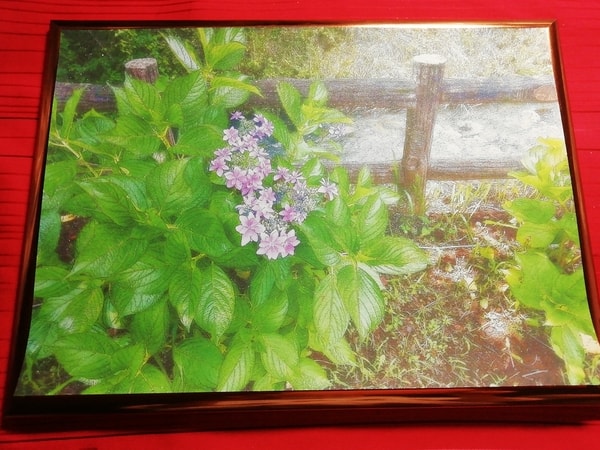 Art Auction 花 12 Flower