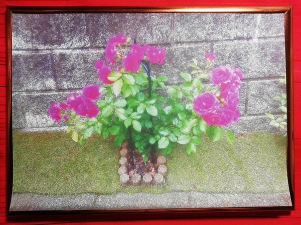 Art Auction 花 20 Flower