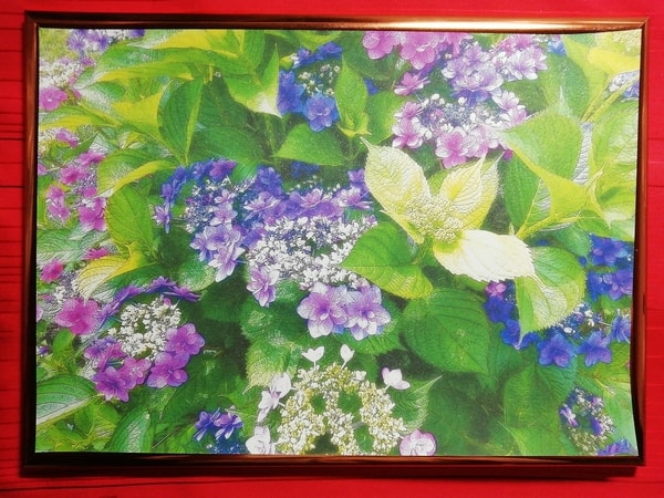 Art Auction 花 23 Flower