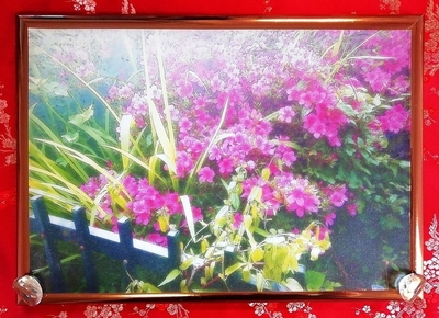 Flower 花 5