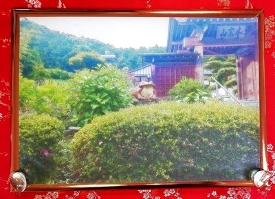 Shinto shrine 神社 02 9