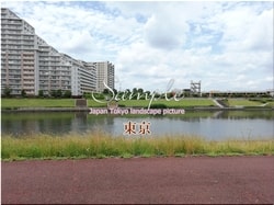 Tokyo Adachi-city 02 ■ 2021 latest raw Tokyo 23 wards 1,000P
