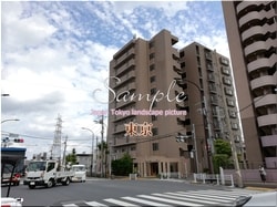 Tokio Adachi-ciudad 31 ■ 2021 últimas salas de Tokio 23 sin procesar 1,000P