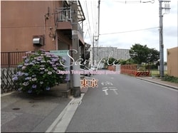 Tokio Adachi-ciudad 60 ■ 2021 últimas salas de Tokio 23 sin procesar 1,000P