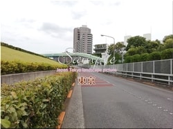 Tokyo Adachi-city 62 ■ 2021 latest raw Tokyo 23 wards 1,000P