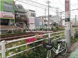 Tokio Arakawa-stadt 15 ■ 2021 neueste rohe Tokio 23 Stationen 1,000P