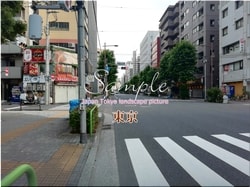 Tokio Bunkyo-ciudad 04 ■ 2021 últimas salas de Tokio 23 sin procesar 1,000P