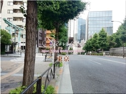 Tokyo Bunkyo-city 11 ■ 2021 latest raw Tokyo 23 wards 1,000P