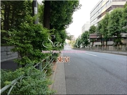 Tokio Chiyoda-ciudad 38 ■ 2021 últimas salas de Tokio 23 sin procesar 1,000P