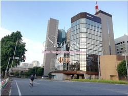 Tokyo Chiyoda-city 54 ■ 2021 latest raw Tokyo 23 wards 1,000P