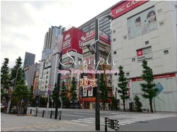 Tokyo Chiyoda-city 84 ■ 2021 latest raw Tokyo 23 wards 1,000P