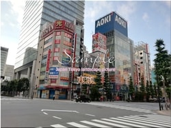 Tokio Chiyoda-stadt 85 ■ 2021 neueste rohe Tokio 23 Stationen 1,000P