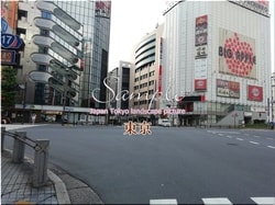 Tokyo Chiyoda-city 93 ■ 2021 latest raw Tokyo 23 wards 1,000P