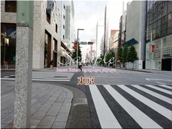 Tokyo Chuo-city 17 ■ 2021 latest raw Tokyo 23 wards 1,000P