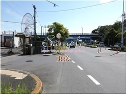 Tokio Edogawa-ciudad 14 ■ 2021 últimas salas de Tokio 23 sin procesar 1,000P