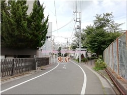 Tokio Itabashi-ciudad 17 ■ 2021 últimas salas de Tokio 23 sin procesar 1,000P
