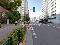 Tokio Koto-ciudad 15 ■ 2021 últimas salas de Tokio 23 sin procesar 1,000P