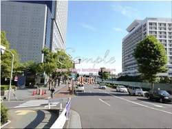 Tokio Koto-stadt 30 ■ 2021 neueste rohe Tokio 23 Stationen 1,000P