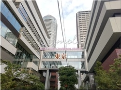 Tokio Minato-ciudad 13 ■ 2021 últimas salas de Tokio 23 sin procesar 1,000P