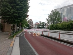 Tokyo Minato-city 36 ■ 2021 latest raw Tokyo 23 wards 1,000P