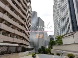 Tokio Minato-ciudad 58 ■ 2021 últimas salas de Tokio 23 sin procesar 1,000P