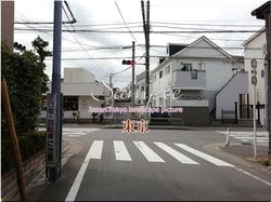 Tokio Nerima-ciudad 31 ■ 2021 últimas salas de Tokio 23 sin procesar 1,000P