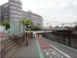 Tokio Ota-stadt 10 ■ 2021 neueste rohe Tokio 23 Stationen 1,000P