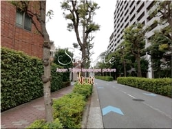 Tokio Ota-ciudad 31 ■ 2021 últimas salas de Tokio 23 sin procesar 1,000P