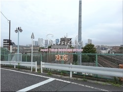 Tokio Ota-stadt 55 ■ 2021 neueste rohe Tokio 23 Stationen 1,000P