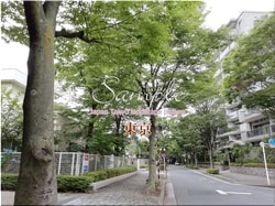 Tokyo Ota-ville 76 ■ 2021 derniers quartiers de Tokyo 23 1,000P