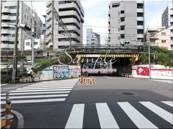 Tokio Shibuya-ciudad 08 ■ 2021 últimas salas de Tokio 23 sin procesar 1,000P