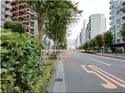 Токио Синдзюку-город 38 ■ Последние 23 палаты Токио в 2021 году 1,000P