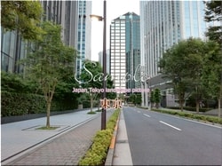 Токио Синдзюку-город 43 ■ Последние 23 палаты Токио в 2021 году 1,000P