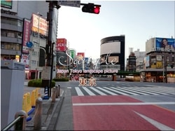 Tokio Shinjuku-stadt 55 ■ 2021 neueste rohe Tokio 23 Stationen 1,000P
