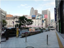 Tokio Shinjuku-ciudad 65 ■ 2021 últimas salas de Tokio 23 sin procesar 1,000P