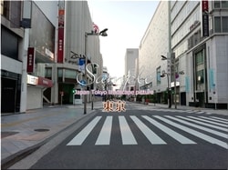 Tokio Shinjuku-ciudad 66 ■ 2021 últimas salas de Tokio 23 sin procesar 1,000P