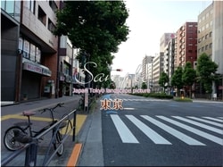 Tokio Shinjuku-ciudad 72 ■ 2021 últimas salas de Tokio 23 sin procesar 1,000P