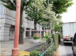 Токио Сугинами-город 04 ■ Последние 23 палаты Токио в 2021 году 1,000P