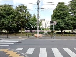 Tokyo Suginami-ville 25 ■ 2021 derniers quartiers de Tokyo 23 1,000P