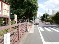 Tokio Suginami-ciudad 40 ■ 2021 últimas salas de Tokio 23 sin procesar 1,000P