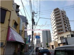 Tokyo Sumida-city 12 ■ 2021 latest raw Tokyo 23 wards 1,000P