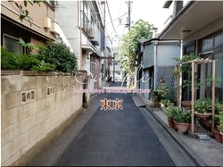 Tokio Sumida-ciudad 16 ■ 2021 últimas salas de Tokio 23 sin procesar 1,000P