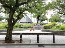 Токио Сумида-город 27 ■ Последние 23 палаты Токио в 2021 году 1,000P