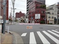 Tokyo Taito-city 05 ■ 2021 latest raw Tokyo 23 wards 1,000P