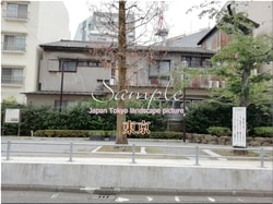 Tokio Taito-ciudad 06 ■ 2021 últimas salas de Tokio 23 sin procesar 1,000P